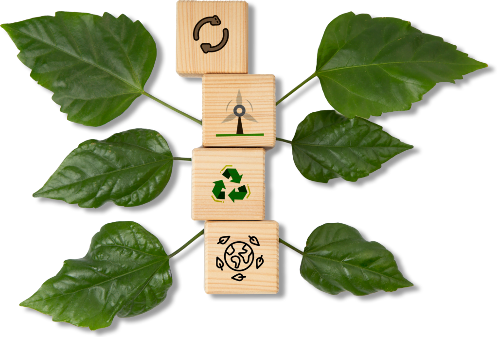 Imagem Decorativa - Biomig